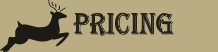 Pricing
